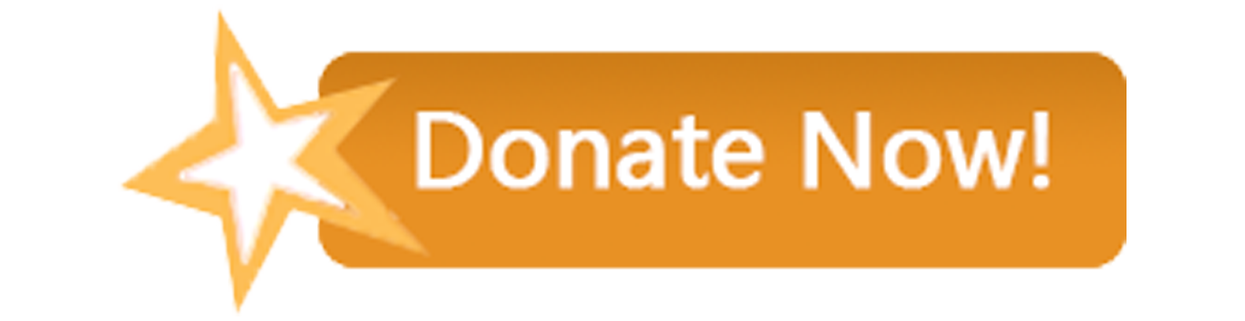 Donate now